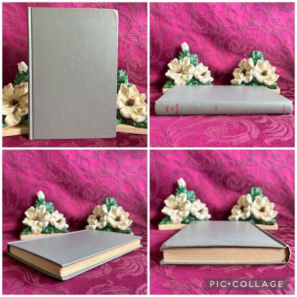 1951 James and Macarthur A Novel About Two Cats by Jenny Laird. First Edition - Picture 2 of 12